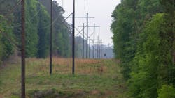 right of way with trees and power lines right of way with trees and power lines