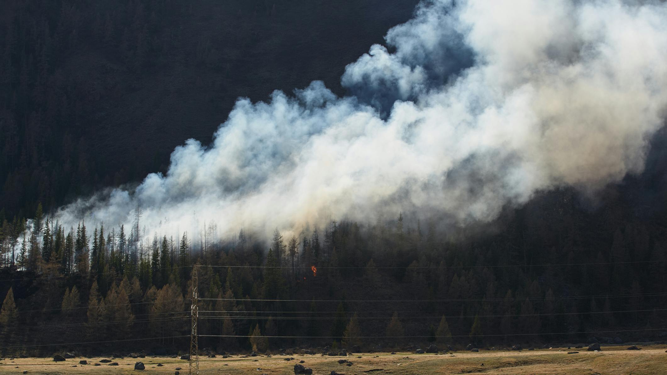 6841fab1340418b63d64389c Dreamstime M 375558983