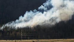 6841fab1340418b63d64389c Dreamstime M 375558983 6841fab1340418b63d64389c Dreamstime M 375558983