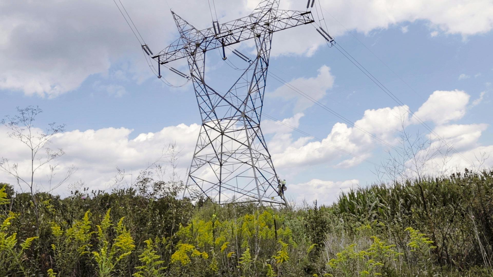 68431b6c62e09e54d5841381 Linevision Sensor 1