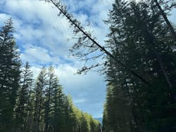 image3_upscaled image3_upscaled