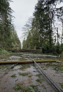 This scene illustrates the costly consequences of reactive vegetation management. Predictive analytics using satellite imagery and AI can anticipate these events, significantly reducing response costs. This scene illustrates the costly consequences of reactive vegetation management. Predictive analytics using satellite imagery and AI can anticipate these events, significantly reducing response costs.