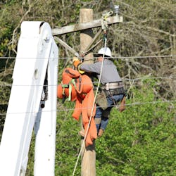 The newly deployed technologies enable real-time monitoring and automated fault detection, isolation and restoration. The newly deployed technologies enable real-time monitoring and automated fault detection, isolation and restoration.