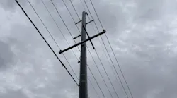 Although the winds downed the four wood poles, the FRP poles on either end of the group stayed standing