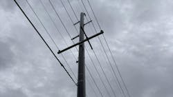 Although the winds downed the four wood poles, the FRP poles on either end of the group stayed standing Although the winds downed the four wood poles, the FRP poles on either end of the group stayed standing