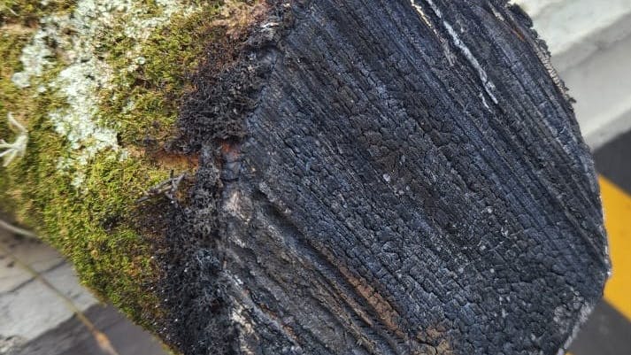 This shows a close-up of a branch being trimmed using the Laser Obstacle Remover technology.