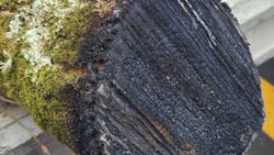 This shows a close-up of a branch being trimmed using the Laser Obstacle Remover technology. This shows a close-up of a branch being trimmed using the Laser Obstacle Remover technology.