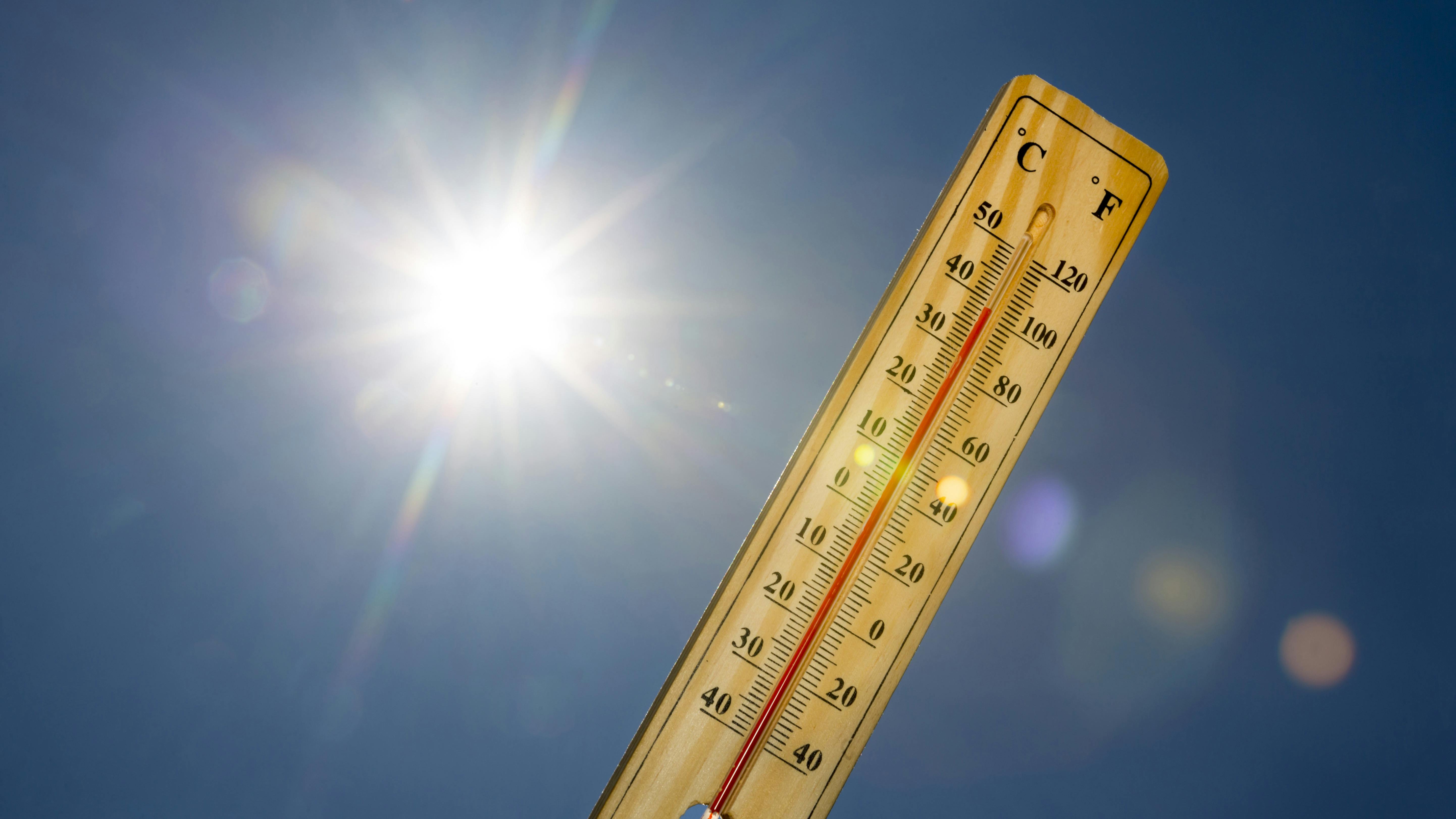 68597ea0894e8bea9f5323c0 Dreamstime Xxl 97142034