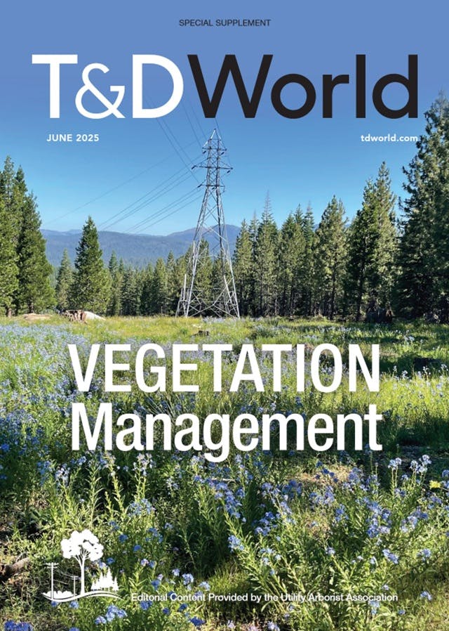 June 2025 Vegetation Management Supplement cover image
