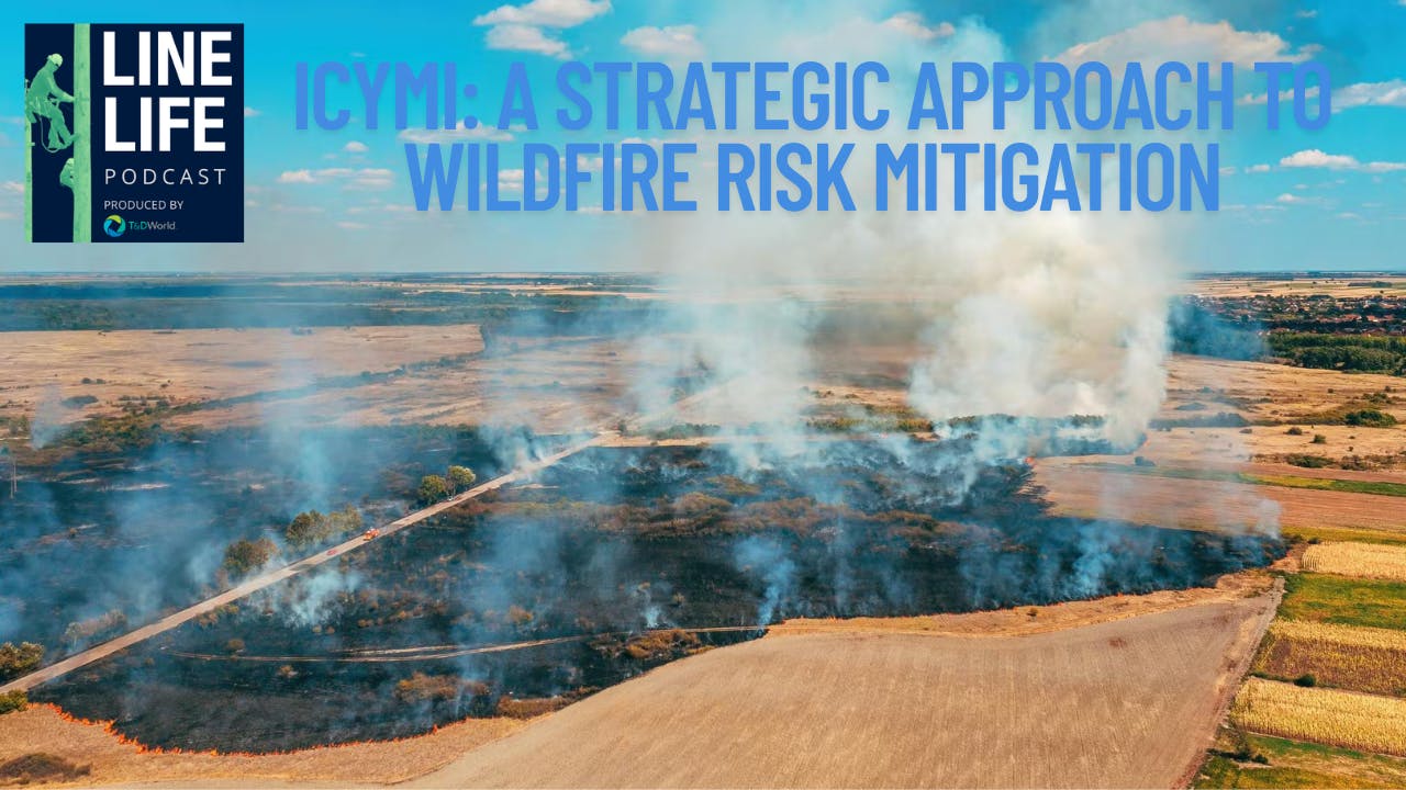 tosca_and_purple_minimalist_new_episode_podcast_yo