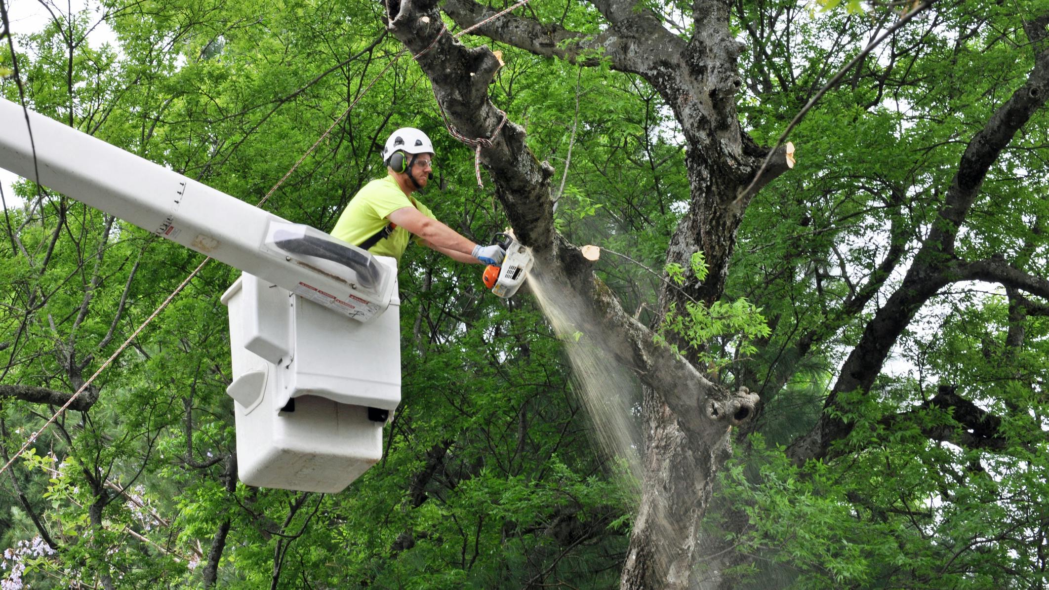 687027c72f454529d2dd8d9a Dreamstime M 71052350