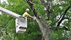 687027c72f454529d2dd8d9a Dreamstime M 71052350 687027c72f454529d2dd8d9a Dreamstime M 71052350