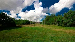 trees by power lines trees by power lines