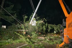 Crews worked around the clock to remove hundreds of fallen trees that blocked access to damaged infrastructure. In some areas, it was described as working a logging site and construction zone at the same time. Crews worked around the clock to remove hundreds of fallen trees that blocked access to damaged infrastructure. In some areas, it was described as working a logging site and construction zone at the same time.