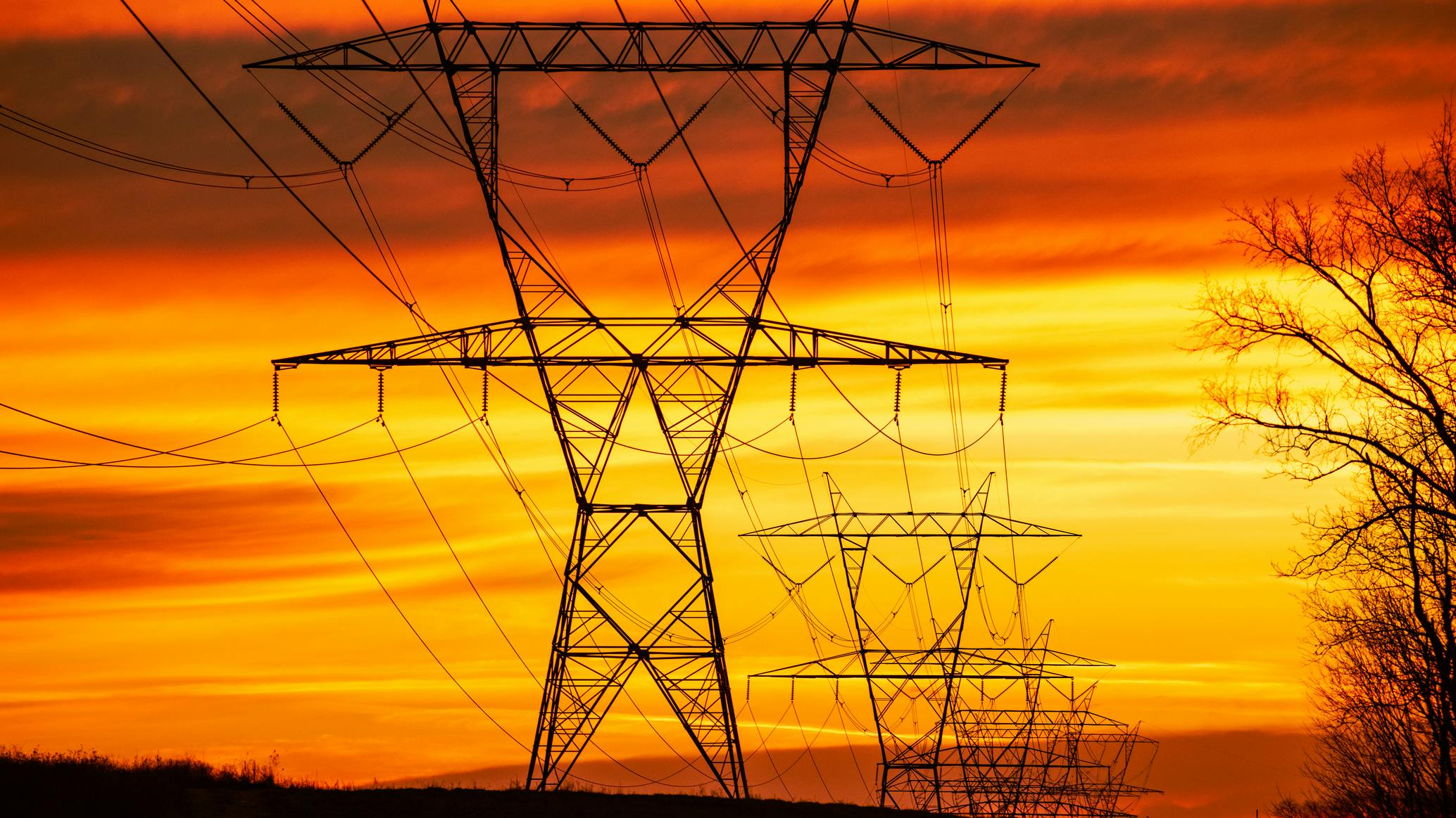 dreamstime_m_269055113