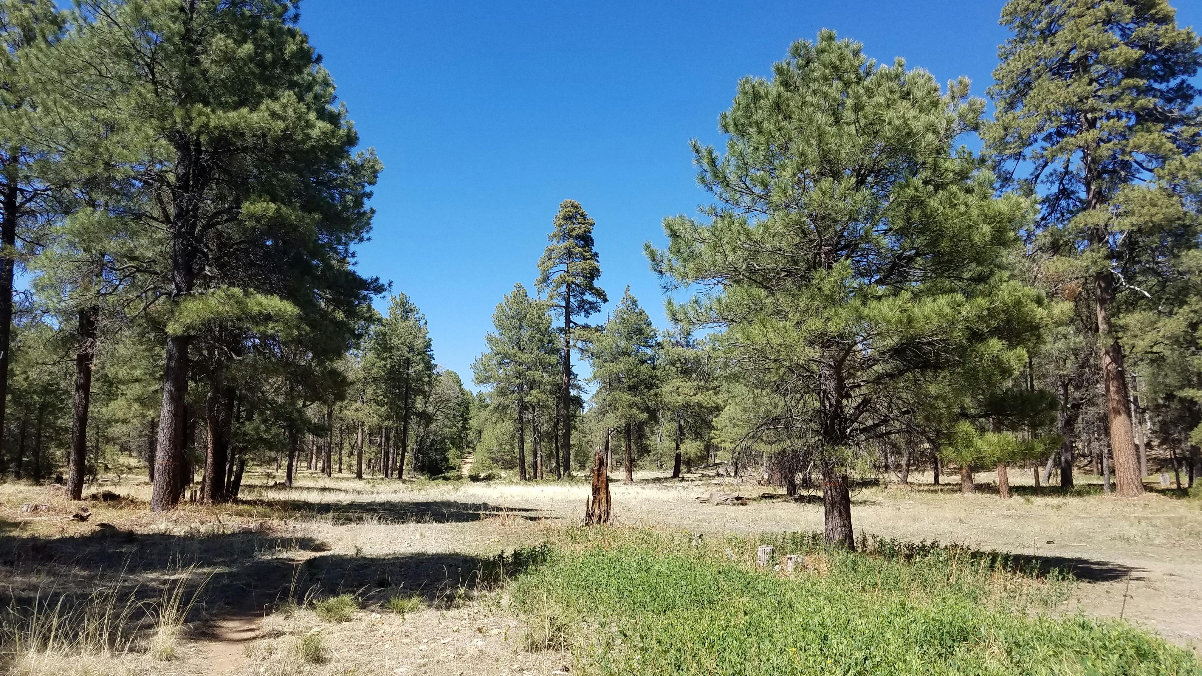 68827c050150c1e7910c7cac Gettyimages2219501289