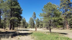 68827c050150c1e7910c7cac Gettyimages2219501289 68827c050150c1e7910c7cac Gettyimages2219501289