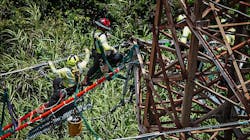 6883845f01e662f2fbc82453 Image 54 6883845f01e662f2fbc82453 Image 54