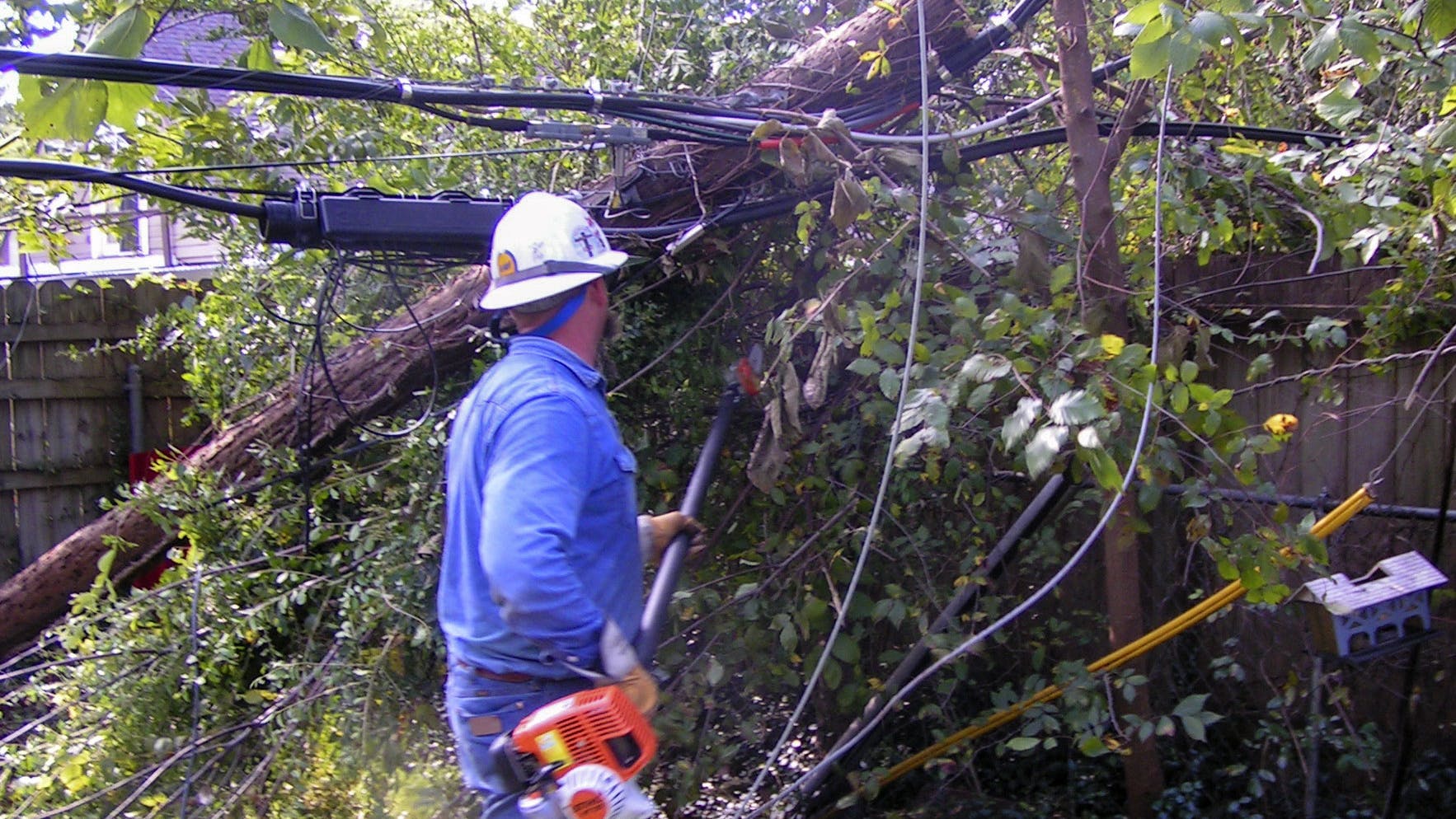 Managing Vegetation in a Dynamic Environment