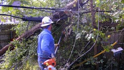 Managing Vegetation in a Dynamic Environment Managing Vegetation in a Dynamic Environment