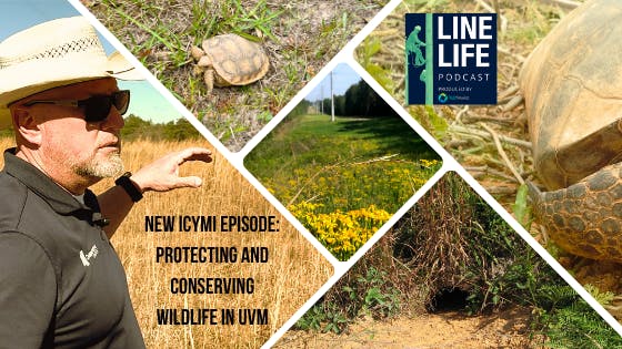 natural_photo_collage_mountains_travel_facebook_co