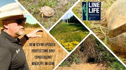 natural_photo_collage_mountains_travel_facebook_co natural_photo_collage_mountains_travel_facebook_co