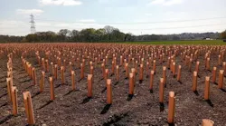 The company purchased 24 acres of land off Palehouse Common and Sand Hill Lane in Framfield as part of the construction works. The land has been improved with planting to provide new habitats for great crested newts, reptiles, dormice, bats and badgers.