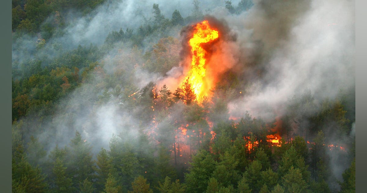 New Technology Combines Satellite Data and Simulations to Reduce Wildfire Threats and Power Shutoffs