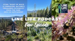 modern_travel_city_vlog_photo_collage_youtube_thum modern_travel_city_vlog_photo_collage_youtube_thum