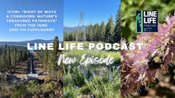 68a7711fa79091890cb23100 Modern Travel City Vlog Photo Collage Youtube Thum 68a7711fa79091890cb23100 Modern Travel City Vlog Photo Collage Youtube Thum