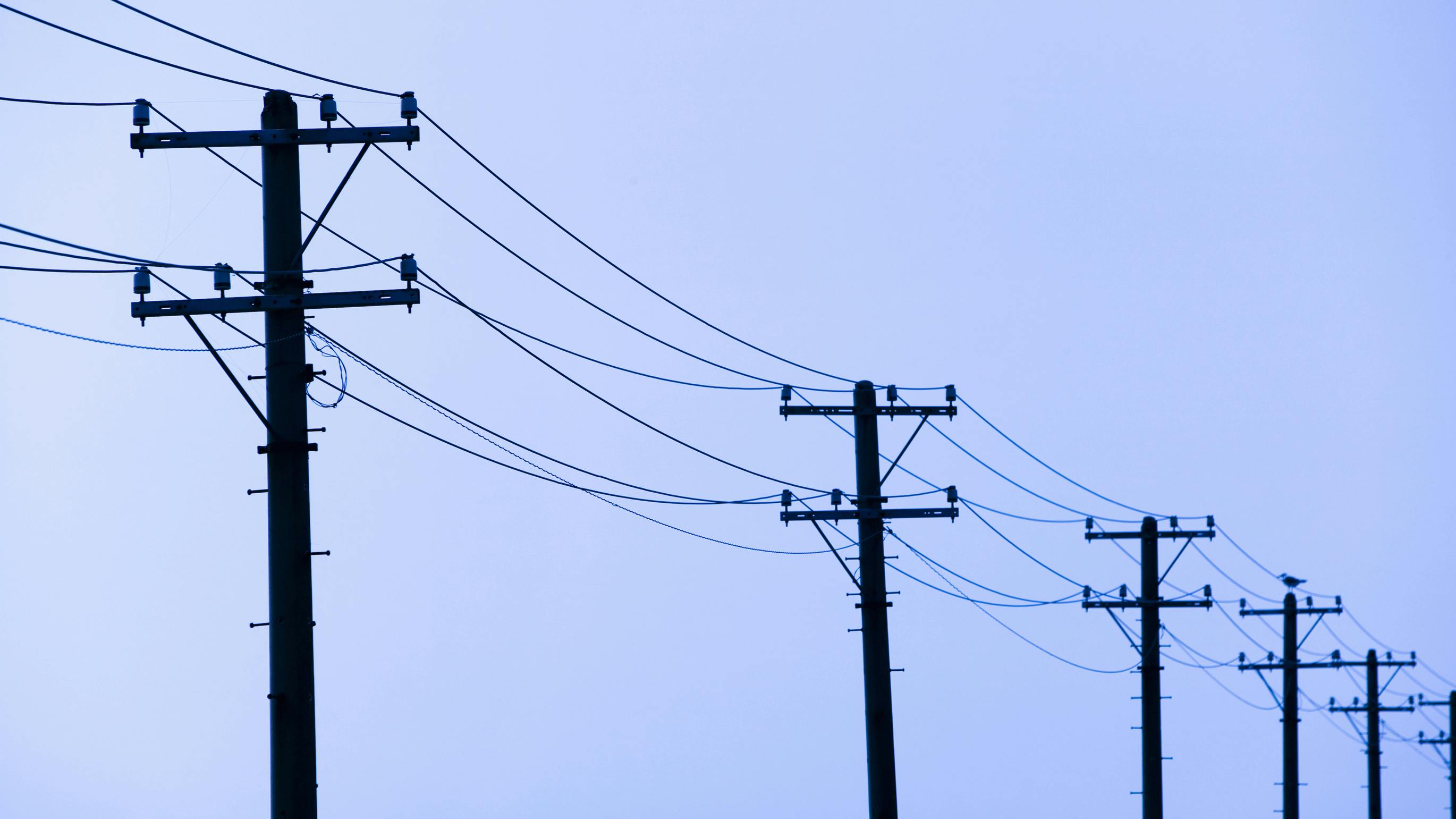 68adb97359ba07d2e9aa866e Dreamstime L 10155396