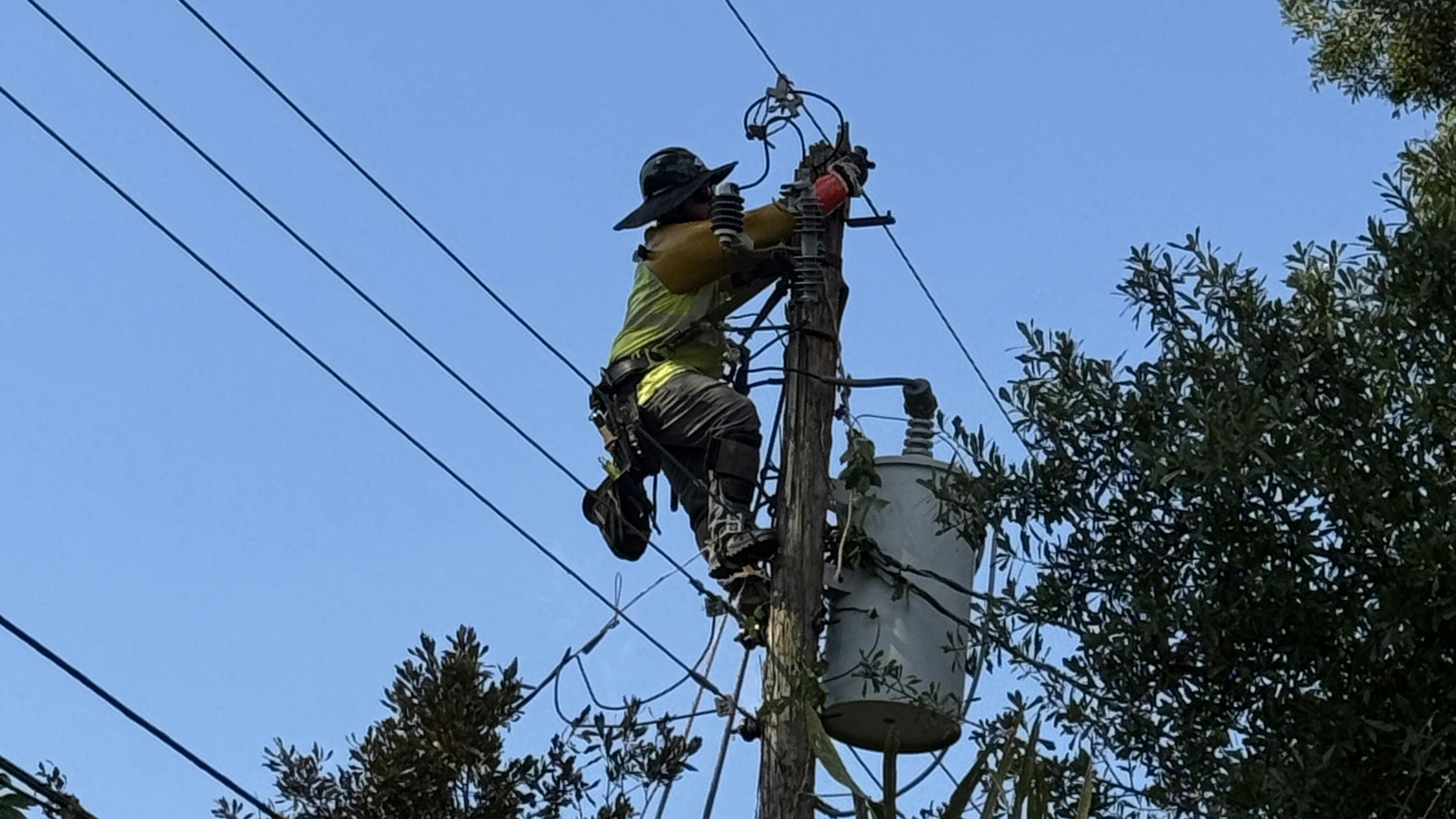 lineworker by tree