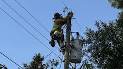 lineworker by tree lineworker by tree