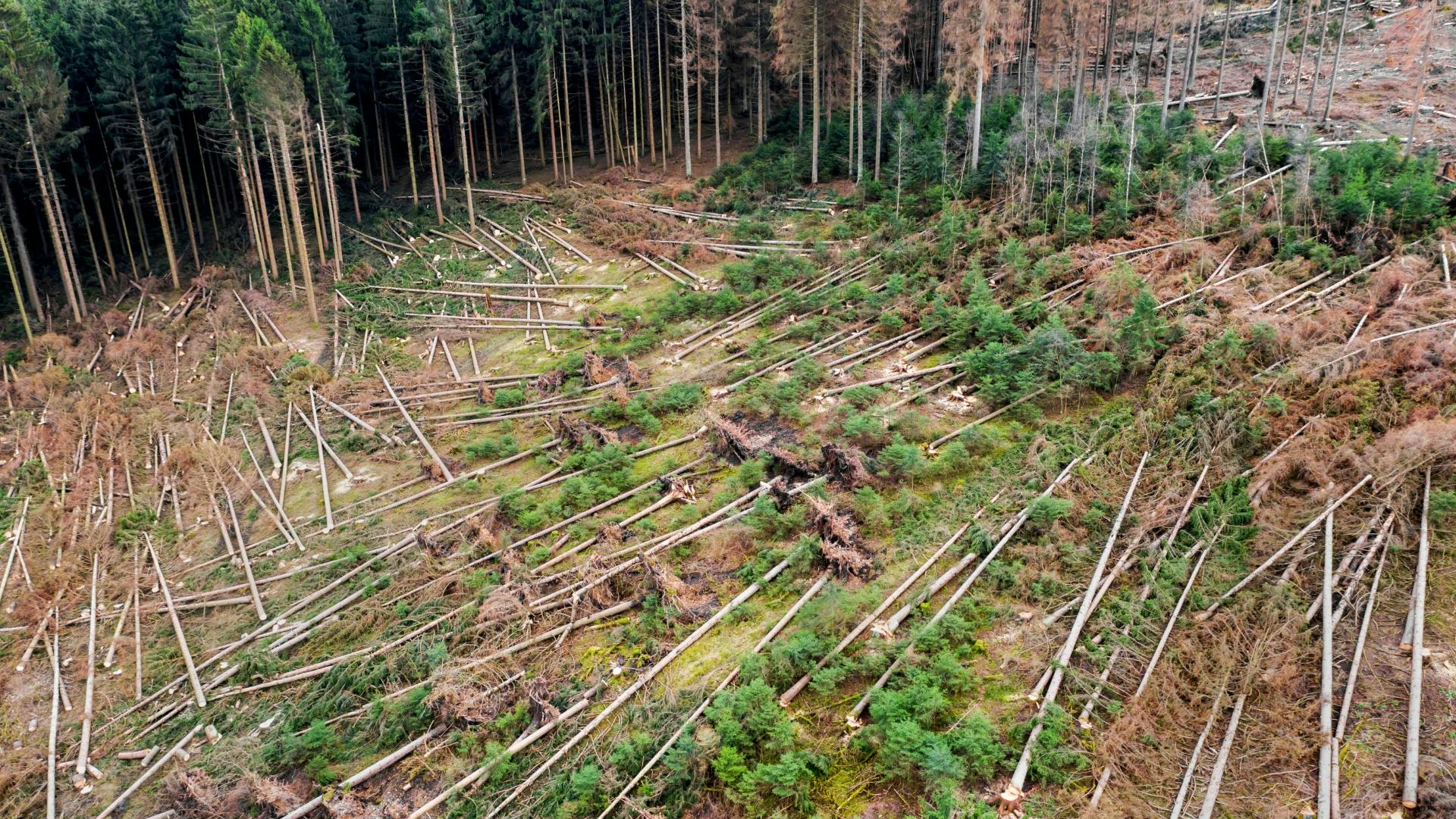 68b9c873f96b2c900bd7c7a4 Image 67632325831756226399375