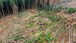 68b9c873f96b2c900bd7c7a4 Image 67632325831756226399375 68b9c873f96b2c900bd7c7a4 Image 67632325831756226399375