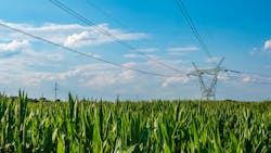 power line in corn field power line in corn field