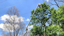 Overgrown trees near power lines pose a major outage risk. By leveraging satellite intelligence, the city of Westerville in Ohio identifies and addresses these hazards before they disrupt service. Overgrown trees near power lines pose a major outage risk. By leveraging satellite intelligence, the city of Westerville in Ohio identifies and addresses these hazards before they disrupt service.