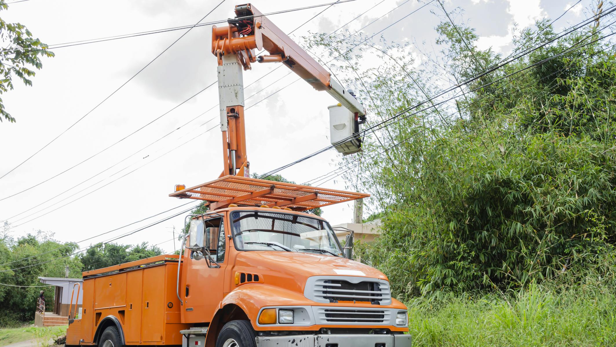 bucket truck and trees