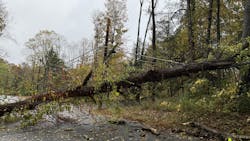 Storm damage in Lewisboro, NY. Storm damage in Lewisboro, NY.