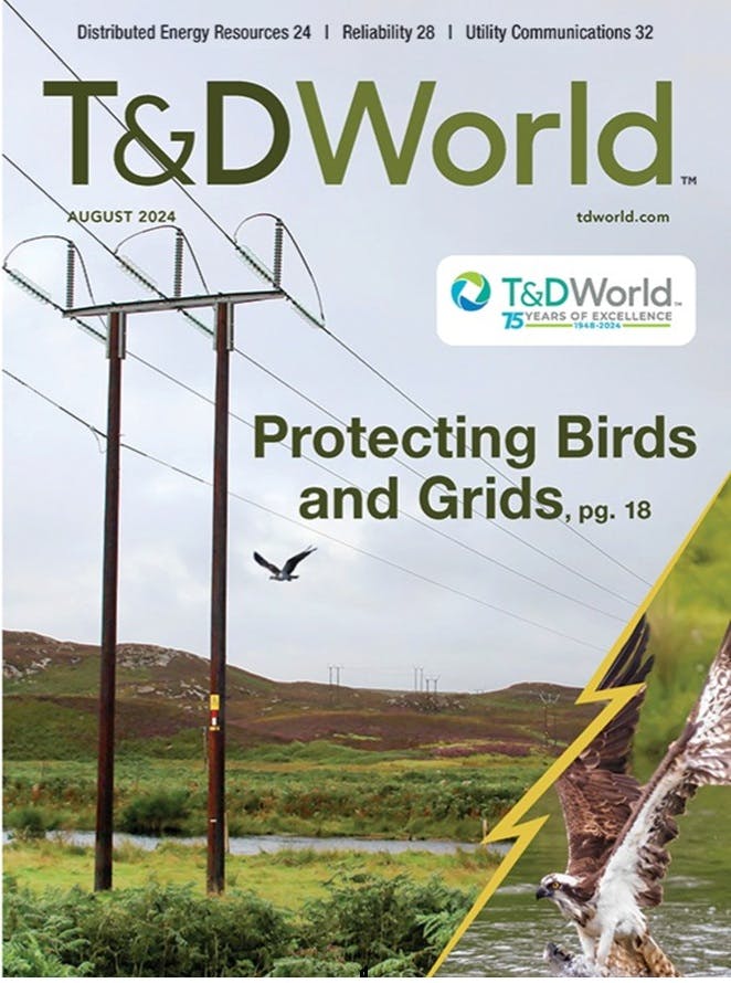 August 2024 cover image