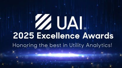 6902960c4e3c6b4078363da3 Uai Excellence Awards Graphic 2025