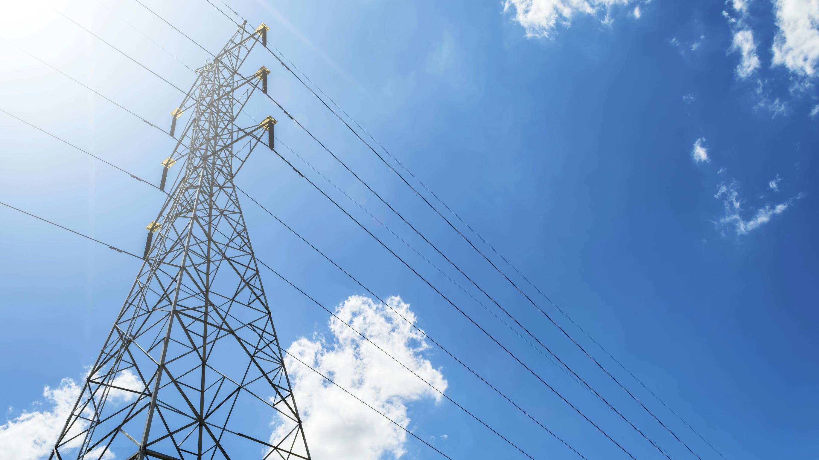 dreamstime_l_96363800