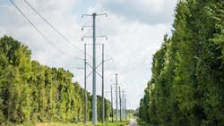 691379981c9b14b0b088ed87 Duk Wires 1 691379981c9b14b0b088ed87 Duk Wires 1