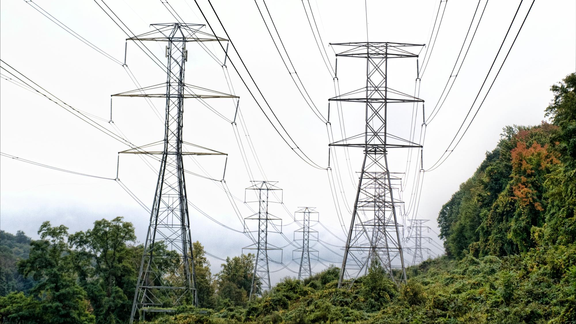 Grid of power lines and towers in a rural area.