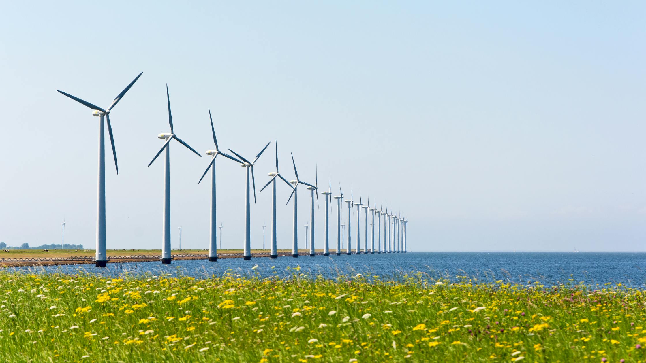 Dutch wind energy windmills near grassland and sea shore