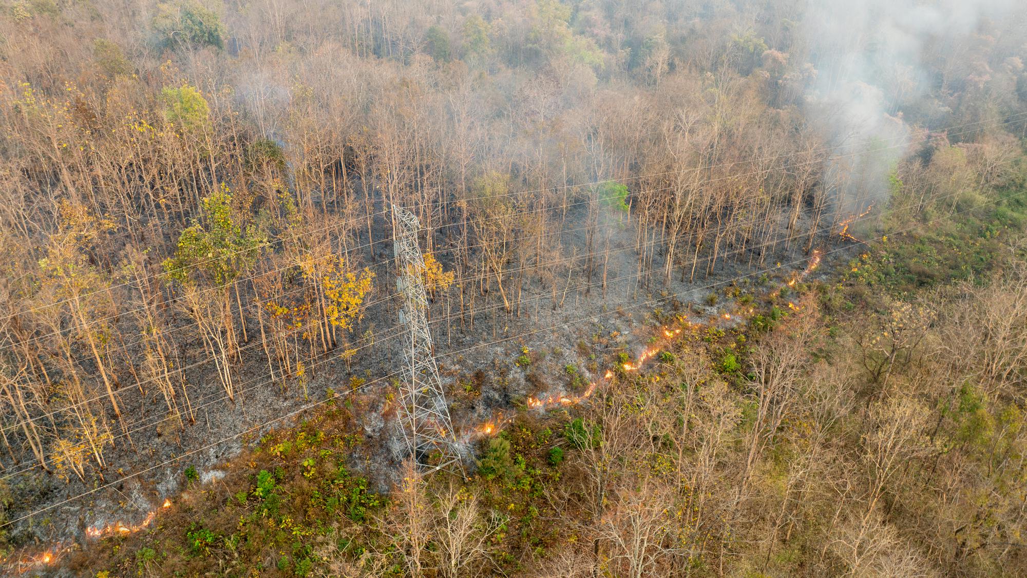 Bushfire is burning near power transmission tower line in rural