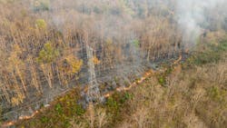 Bushfire is burning near power transmission tower line in rural Bushfire is burning near power transmission tower line in rural