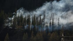 Smoke rising from a forest fire in a dense pine forest with power lines in the foreground Smoke rising from a forest fire in a dense pine forest with power lines in the foreground