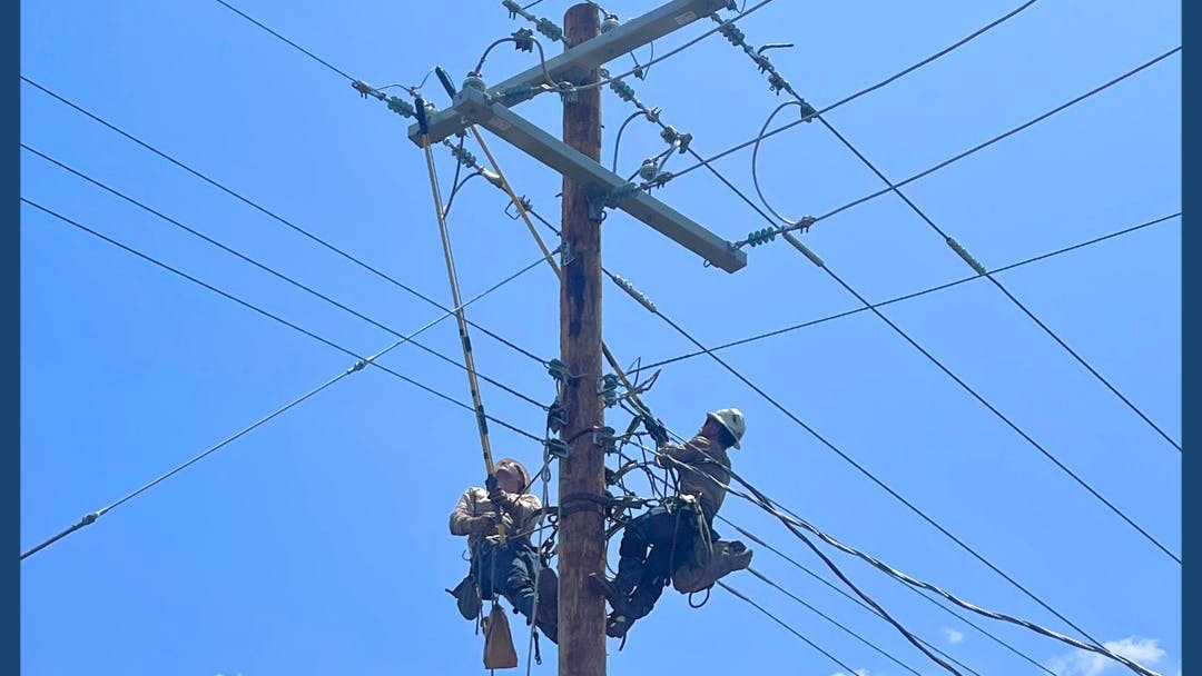 503186021_1137510028419317_5852246305732405910_n