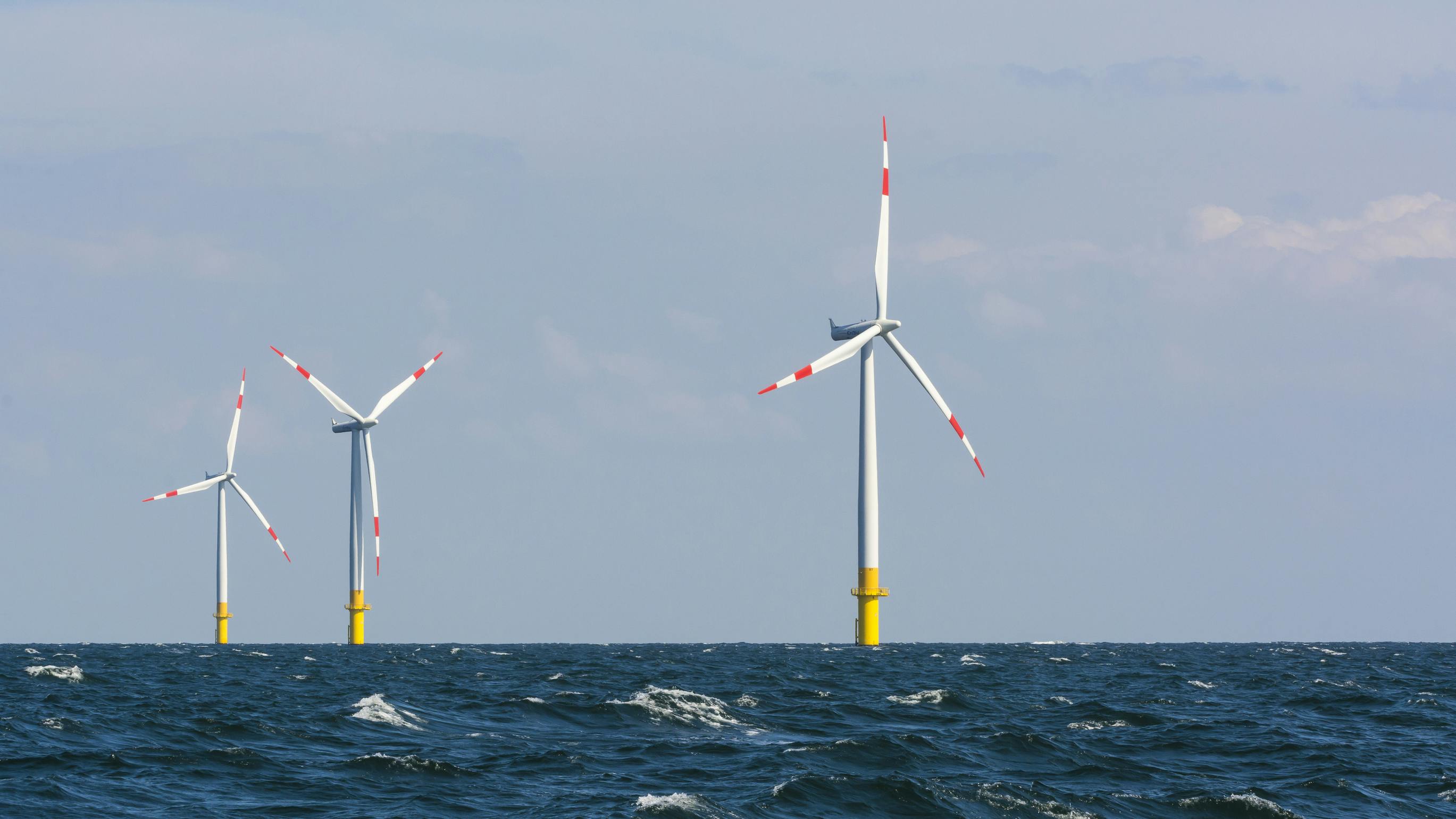 dreamstime_l_44916222